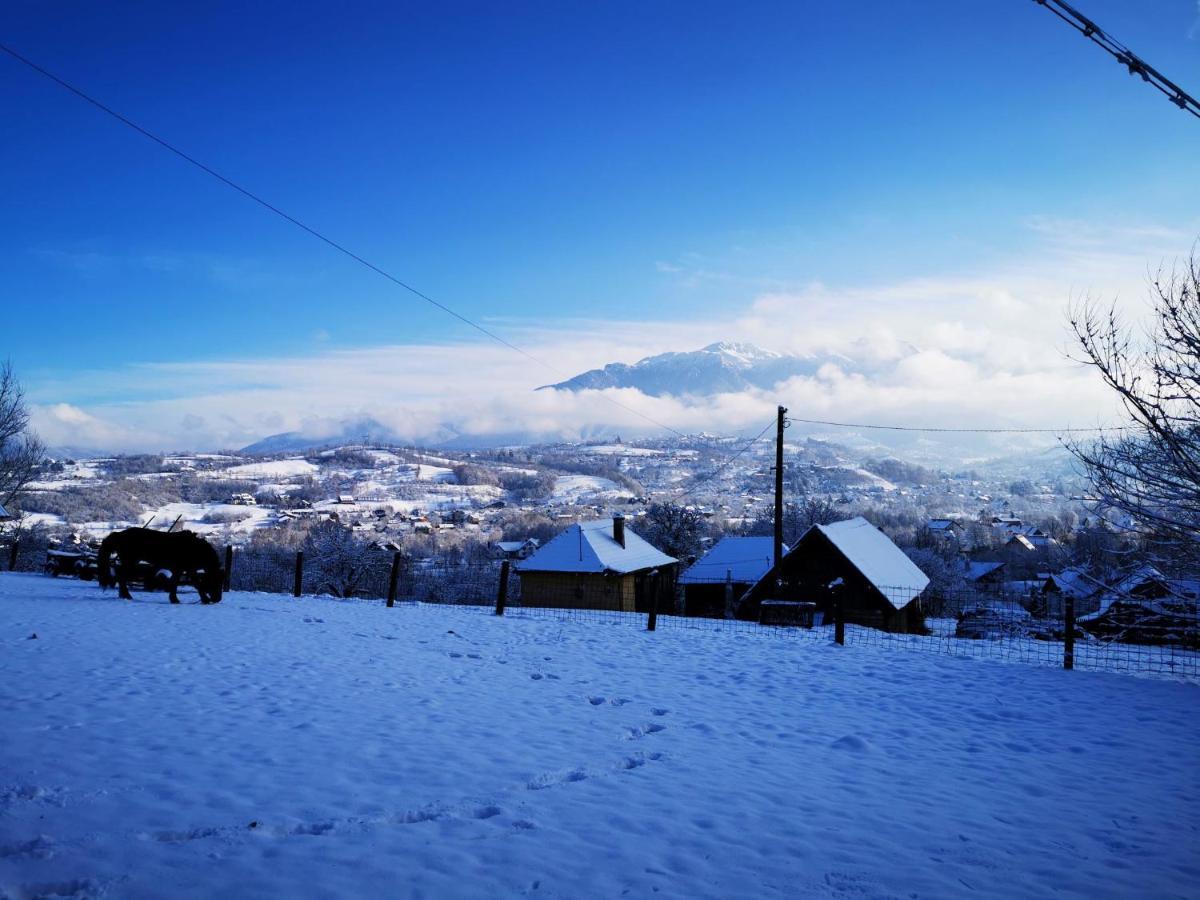 Pensiunea Muntele Rece 3* Bran (Brasov)